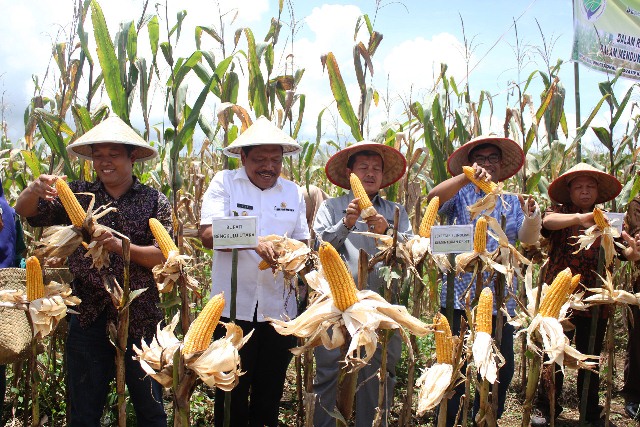 Bengkulu Utara Siapkan 200 Ha Untuk Agro Techno Tourisme Village Park