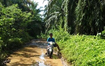 Jalan Desa Rimbo Besar Memprihatinkan