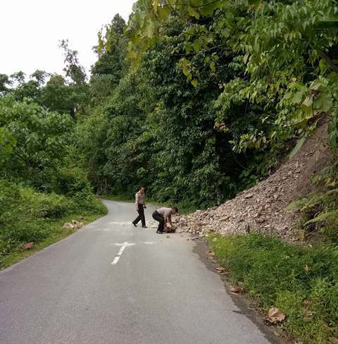 Waspada Longsor dan Pohon Tumbang