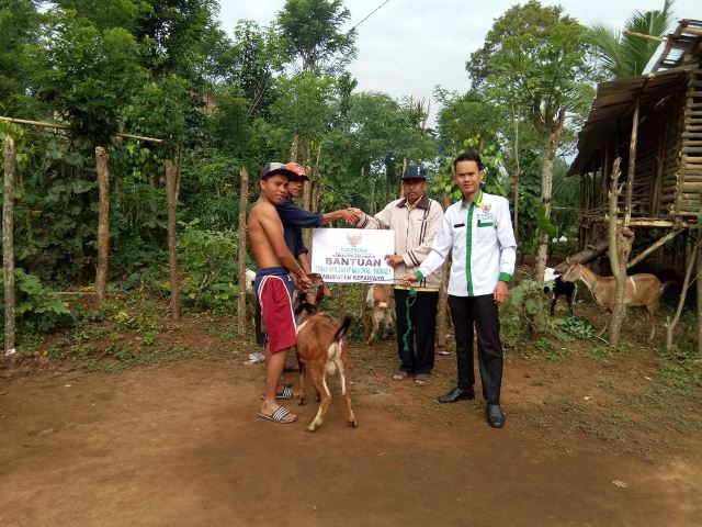 Baznas Beri 25 Ekor Kambing