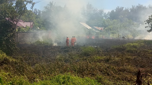 Lahan Milik Senator Terbakar