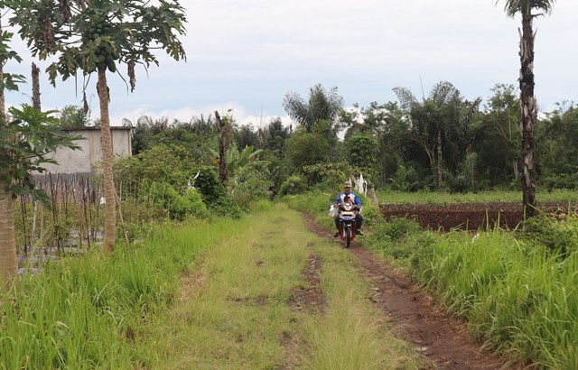 40 Persen Jalan Kabupaten Rusak