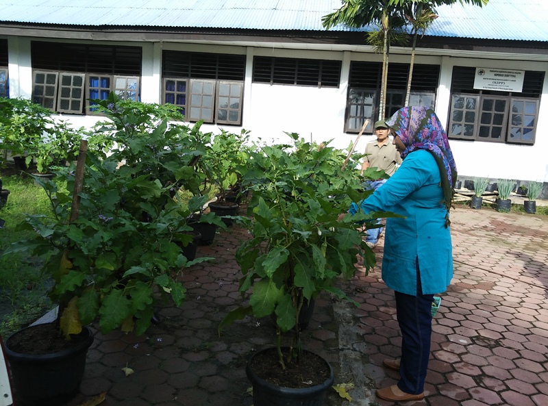 Desa Rawan Pangan  Dibantu Rp 50 Juta