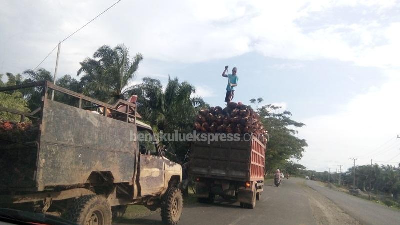 349 Ribu Jiwa Andalkan Komoditi