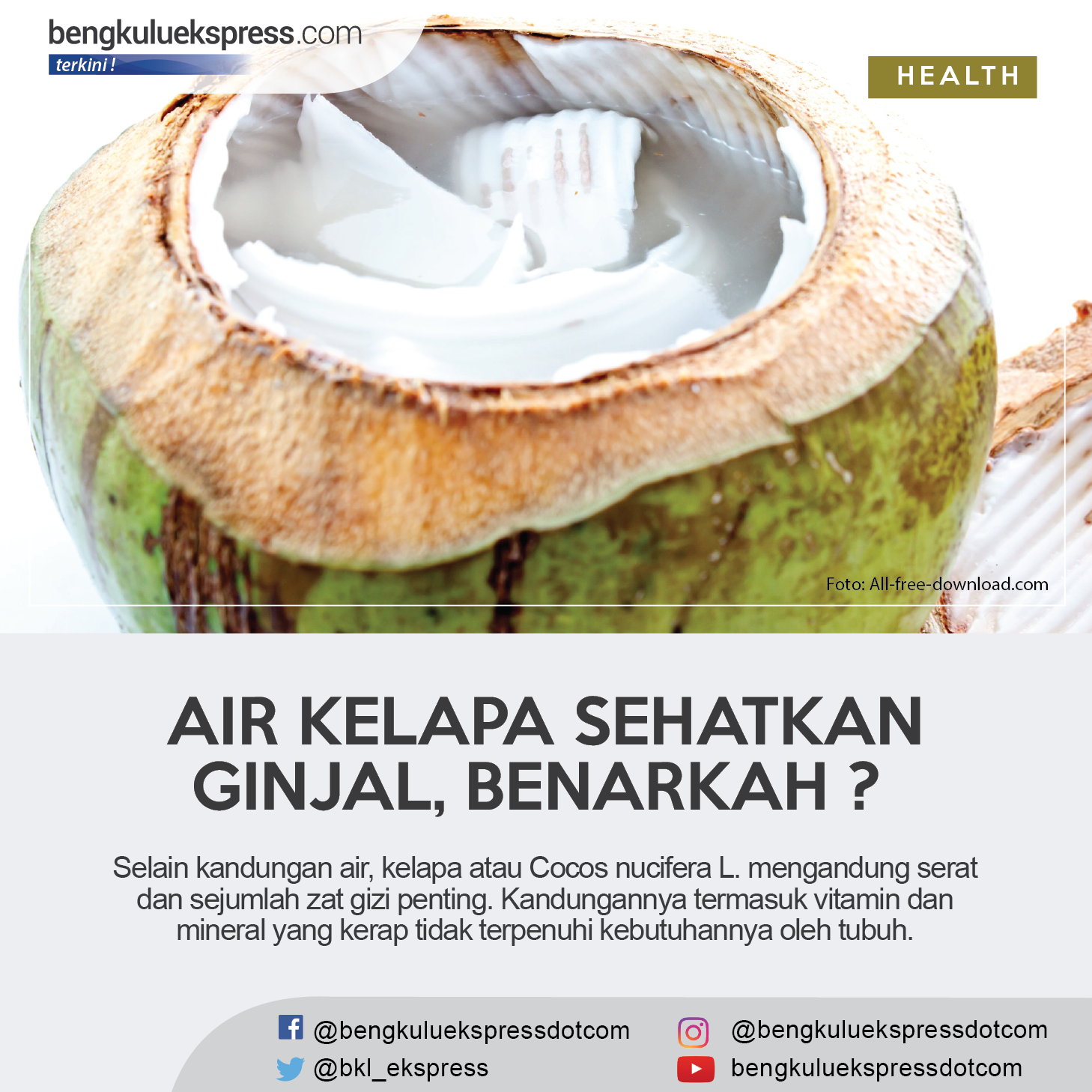 Benarkah Air Kelapa Bisa Sehatkan Ginjal?