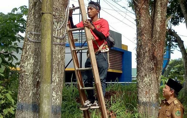 Jalan Sukowati Dipercantik