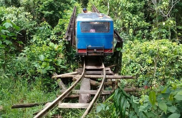 Jalan ke Lebong Tandai Dibuka