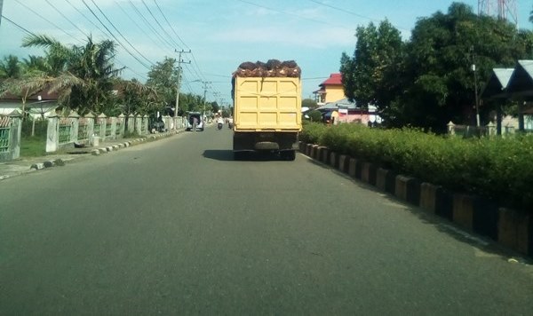 Harga Tandan Buah Segar Bertahan