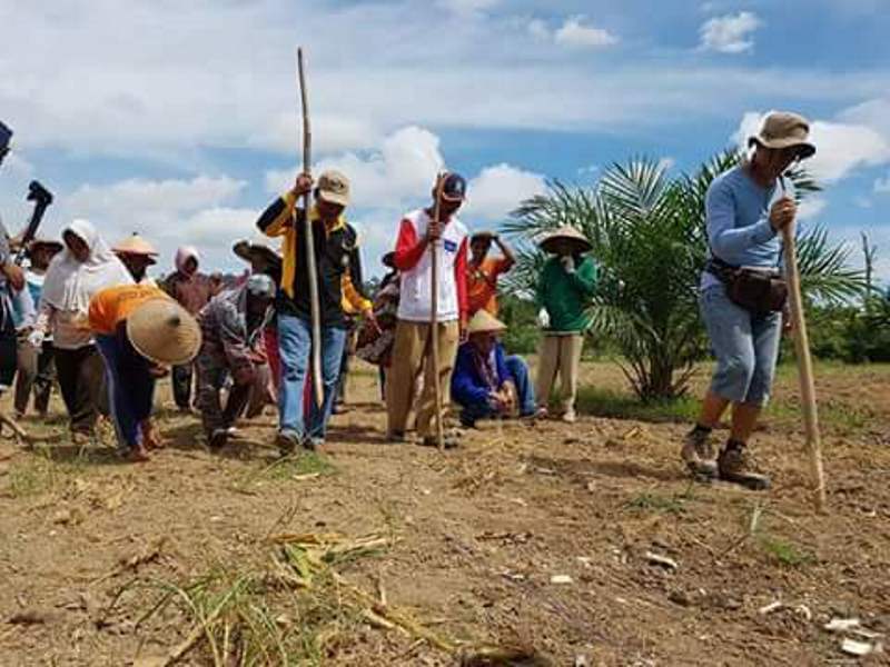 7000 Ha Lahan Siap Ditanam Jagung