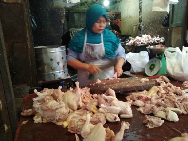 Harga Ayam Masih Tinggi