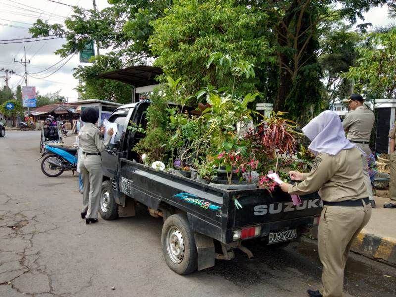 Pedagang Buah Didata