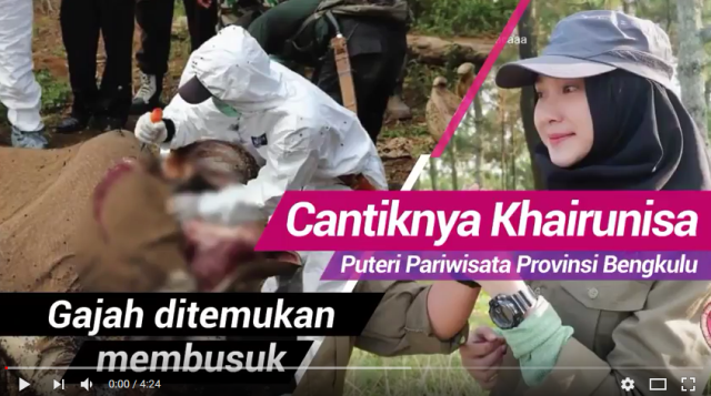 Cantinya Khairunisa, Puteri Pariwisata Provinsi Bengkulu 2018