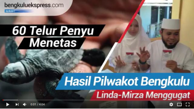 Hasil Pilwakot Bengkulu, Linda-Mirza Menggugat, 60 Telur Penyu Menggugat