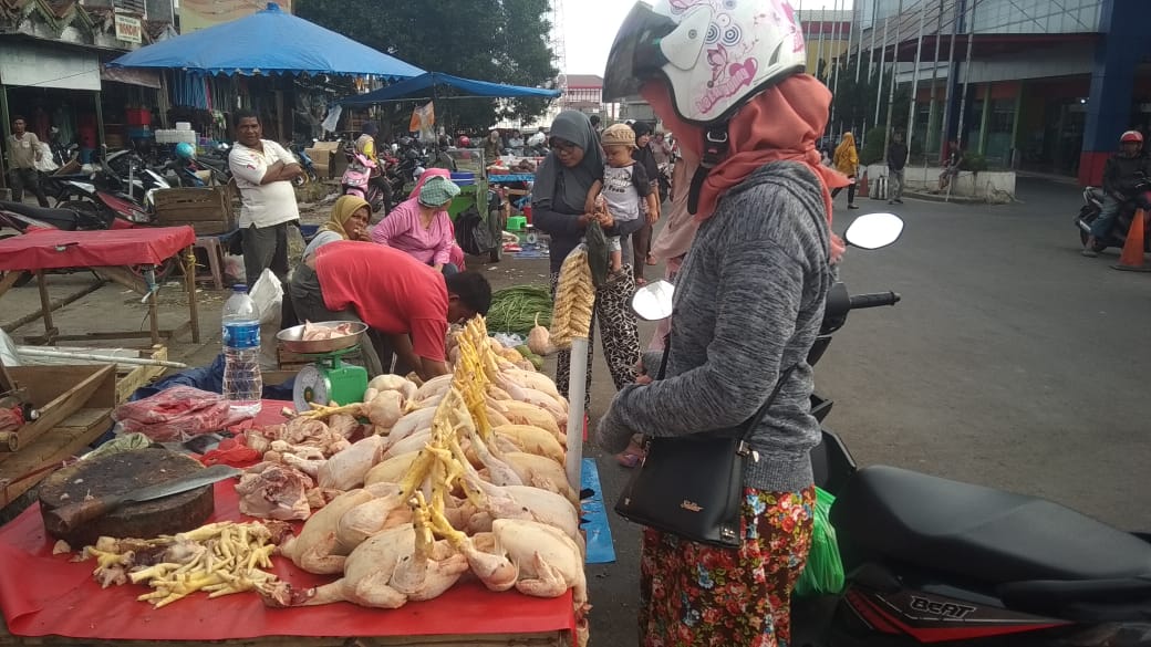 Daging Ayam Mahal, Sekda Kota Bengkulu Ajak Masyarakat Pelihara Ayam