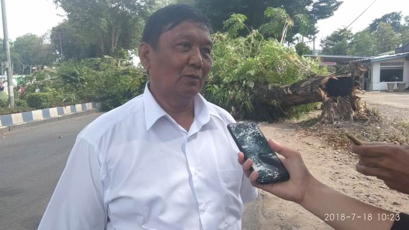 Dinas LHK Imbau Masyarakat Jangan Bakar Sampah Dekat Pohon