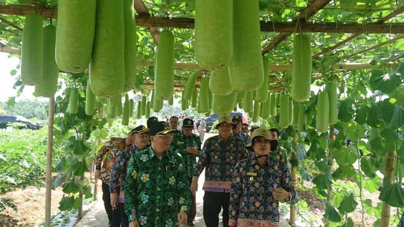 Display Jadi Kawasan Taman Edukasi