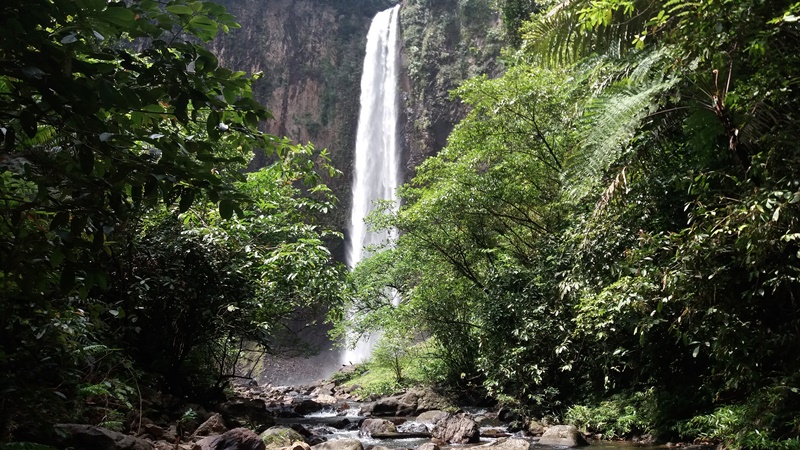 Antara Masa Depan Hutan dan Ekonomi Masyarakat