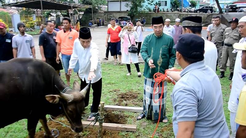 Hewan Kurban di Rejang Lebong 1.776 Ekor