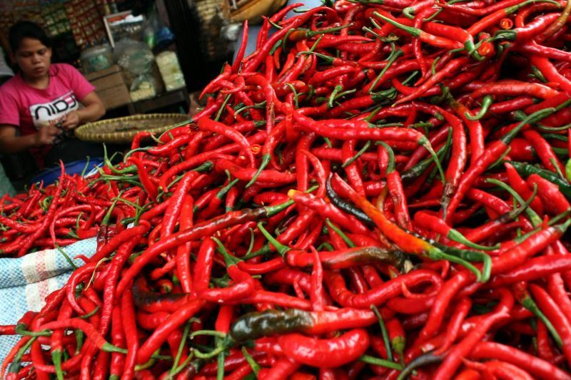 Harga Cabai dan Daging Ayam di Bengkulu Masih Tinggi