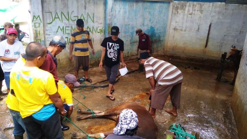 Bagikan Seribu Kupon Kurban