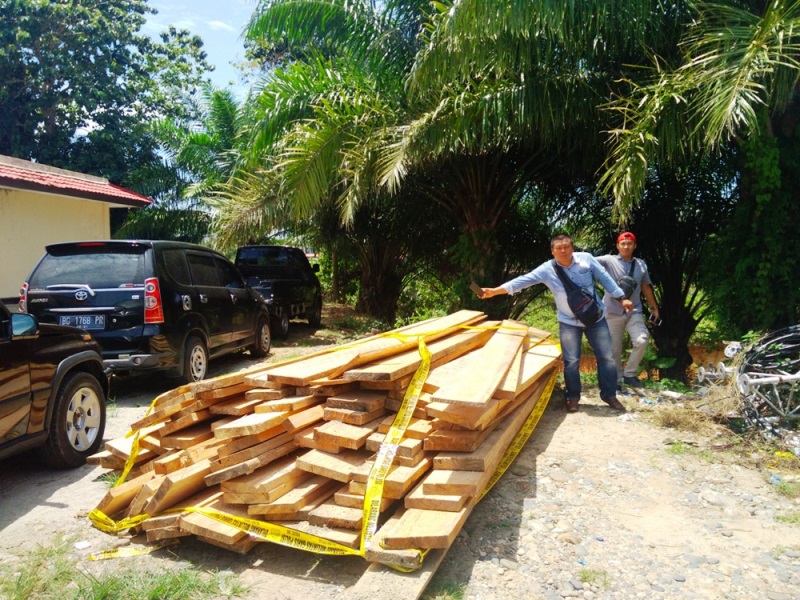 Pemilik 2,8 Kubik Kayu Diburu