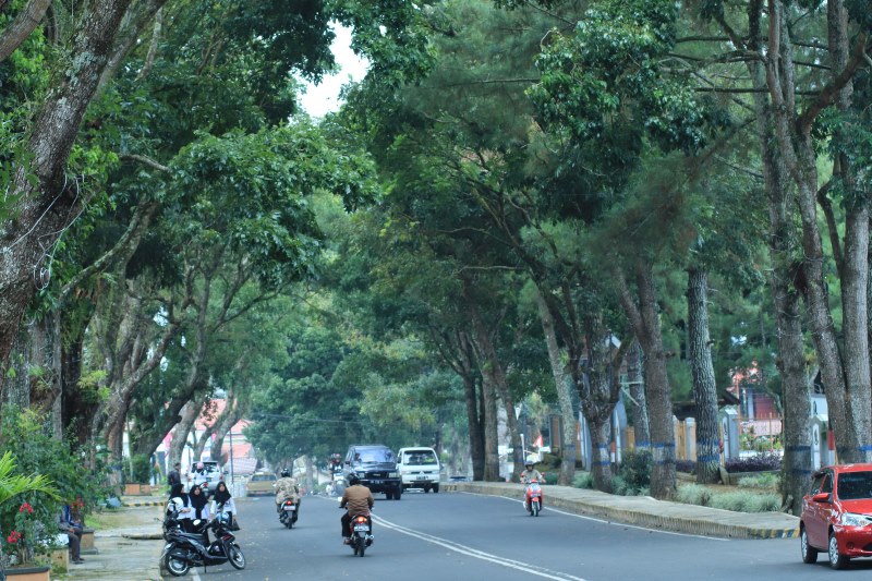 Ada 11 Titik Jalur Hijau