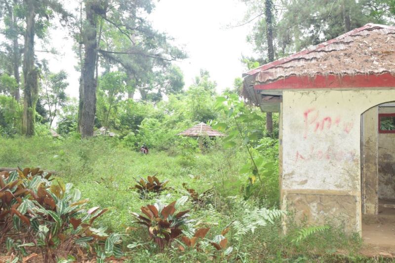 Hutan Konak Tempat Bolos