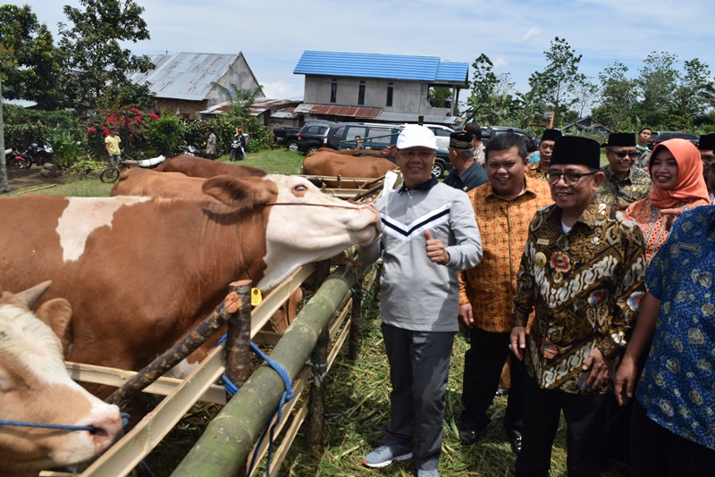 Pembangunan Fasilitas Kebun Teh Tuntas