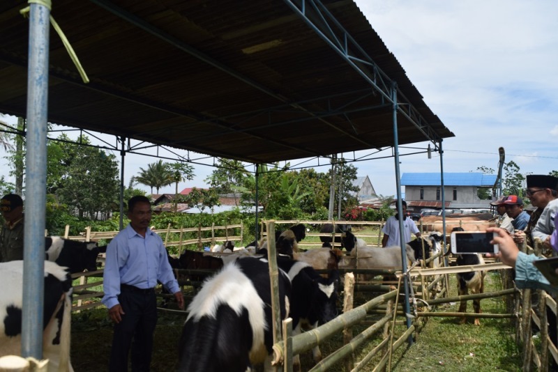 Usaha Ternak Mulai Diminati