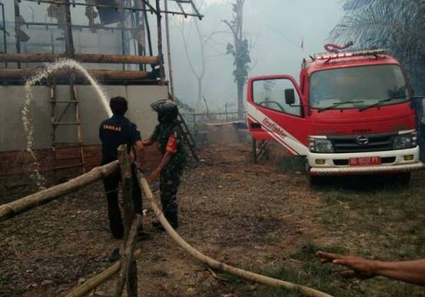 Ribuan Ayam Mati Terbakar