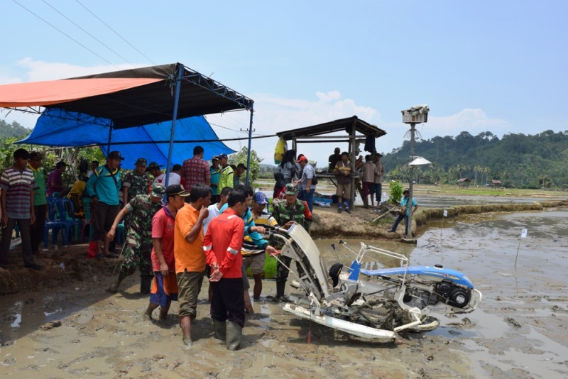 Dispertan Ajari Petani Tanam Padi