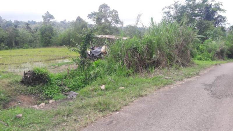 Sikat Revo Petani