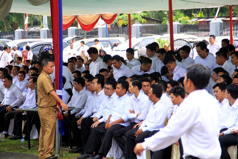 Ribuan CPNS Pemprov Bengkulu Langsung Gagal