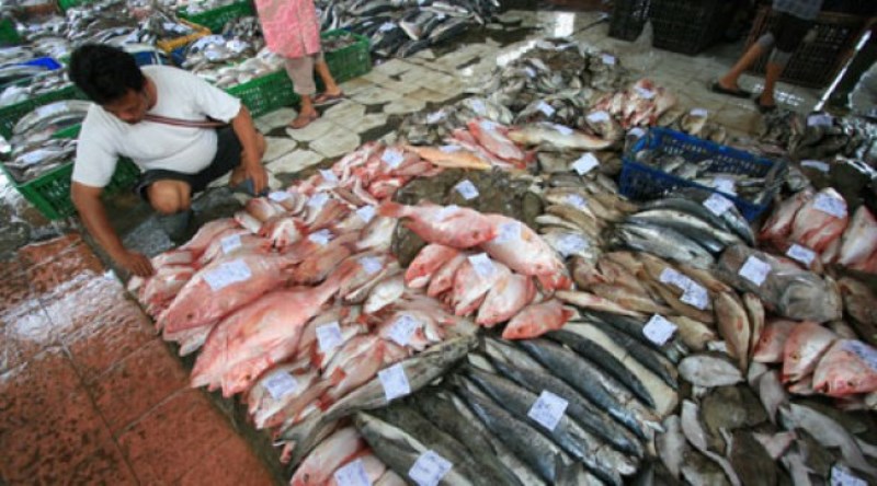 Bengkulu Ekspor Ikan ke Malaysia