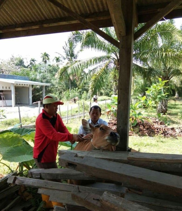 Cegah Penyebaran Penyakit Ngorok