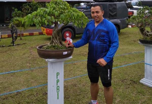 Peminat Bonsai Terus Bertambah