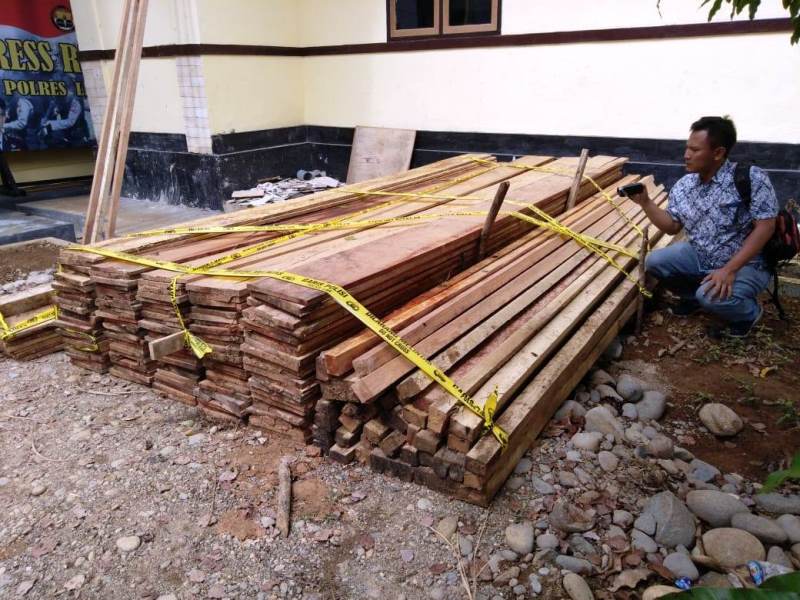 Tiga Kubik Kayu Diamankan