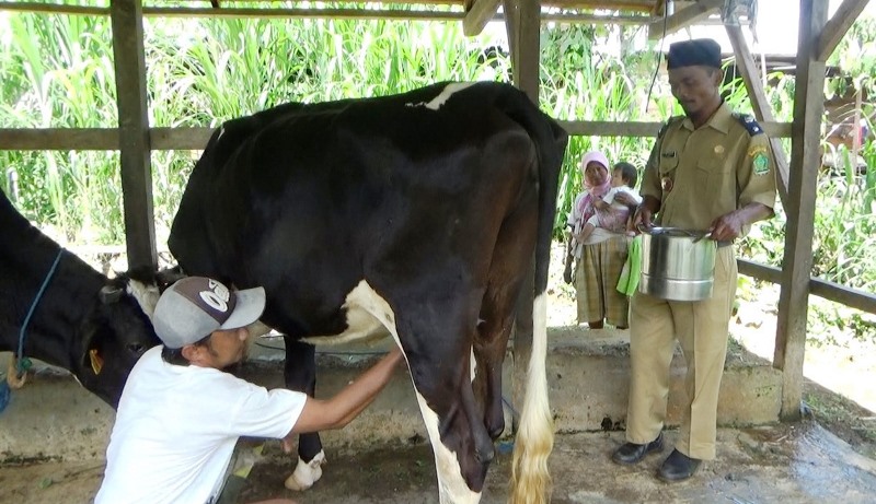 Ayo Minum Susu Segar