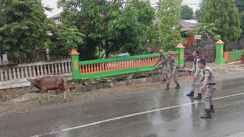 Usai Ditangkap, Lalu Dilepas