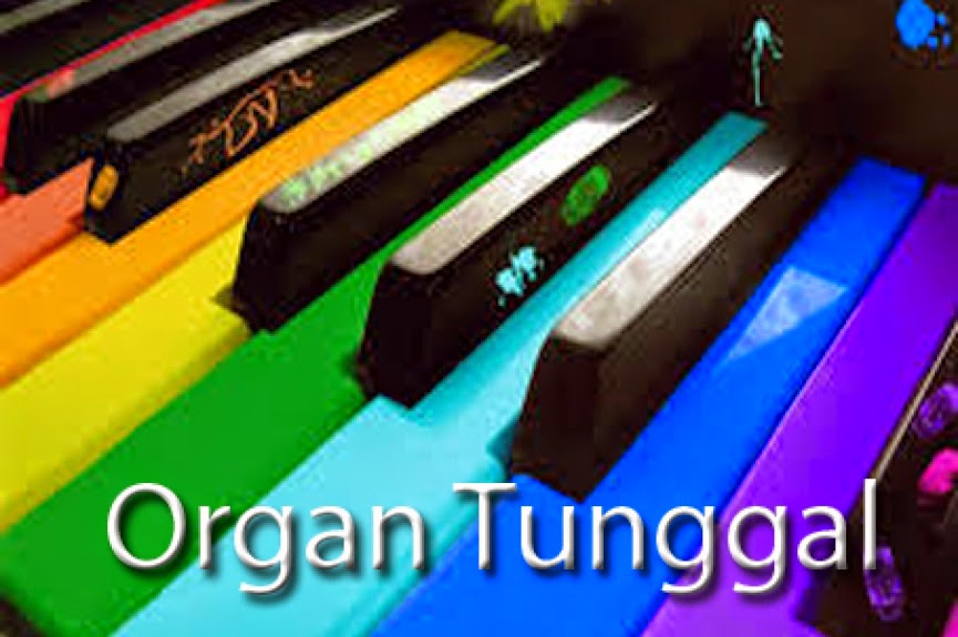 Organ Tunggal Malam Hari Dilarang