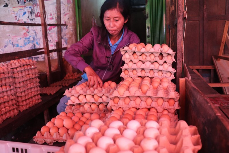 Harga Ayam dan  Telur Masih Tinggi