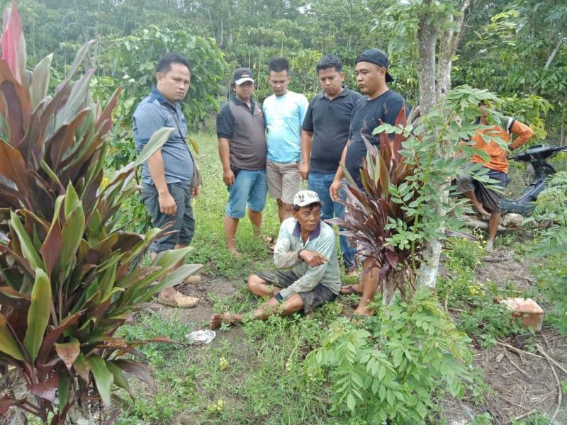 Petani Kopi Ditangkap