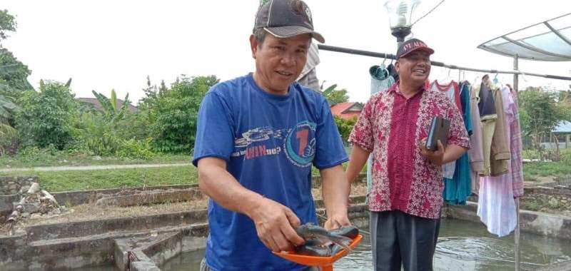 Pengembangan Patin Rp 450 Juta