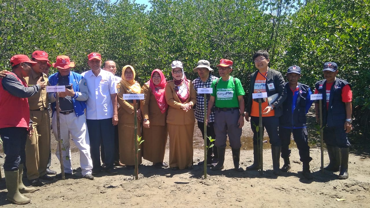 PMI Dirikan Mangrove Education Center di Bengkulu