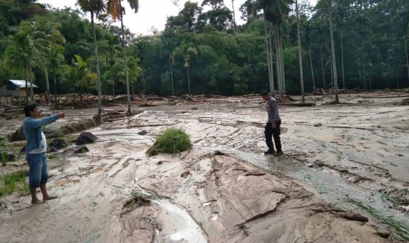 15 Hektar Sawah Diterjang Air Bah