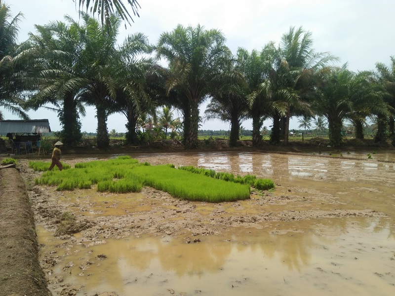 Petani Minta Bantuan Dibagi Merata