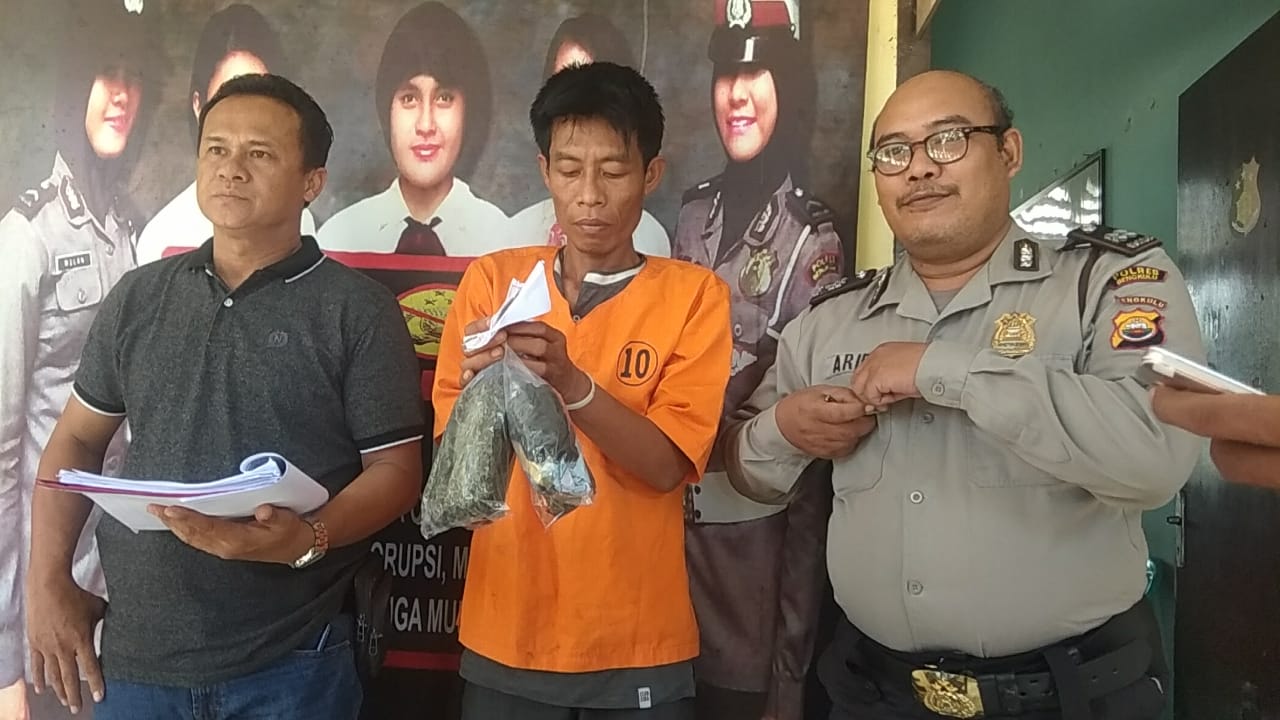 Bawa 8 Paket Ganja Lintas Provinsi, Diringkus