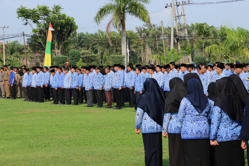 Tahapan Pendaftaran CPNS di BU Diundur