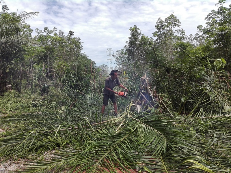 PT. TLB Pekerjaan Warga