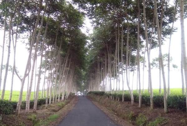 Dinas PUPR Bangun, 63, 61 Km Jalan Hotmix